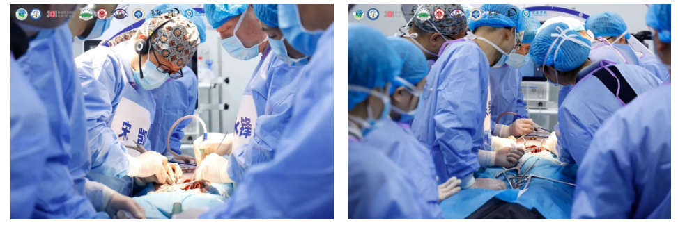 微信圖片_20241114125756 微信圖片_20241114125756