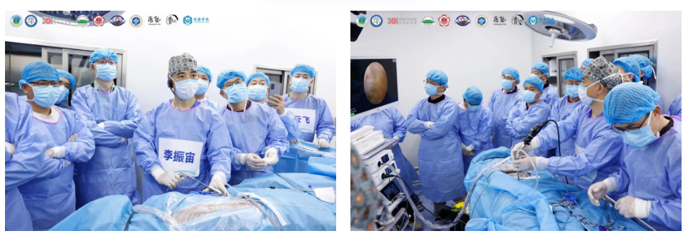 微信圖片_20241114130309 微信圖片_20241114130309