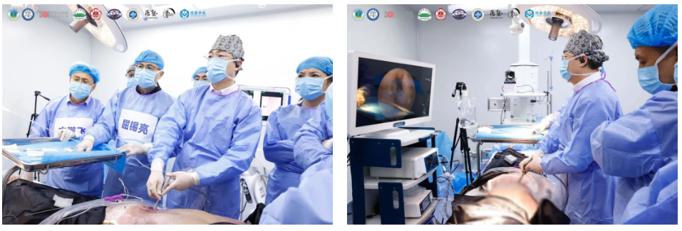 微信圖片_20241114130600 微信圖片_20241114130600